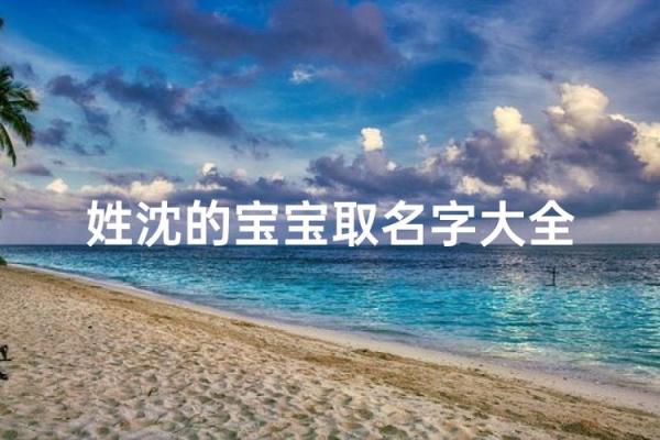 沈姓男孩名字大全-沈姓男孩起名字大全-沈姓名字大全姓名