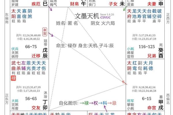 紫微斗数之子女宫与诸星，太阳星在子女宫是什么意思？