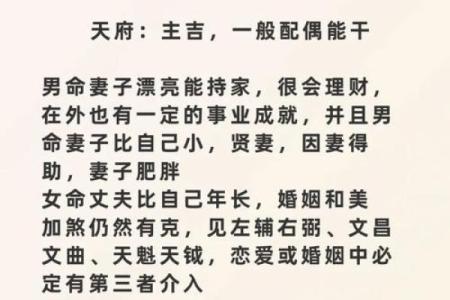 紫薇斗数怎么从看到配偶的学历