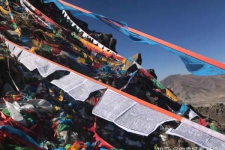 野狗山算命