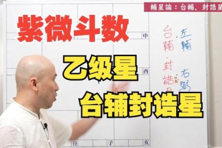 陈明业紫薇斗数