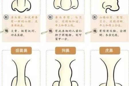 古代看相算命可信吗知乎