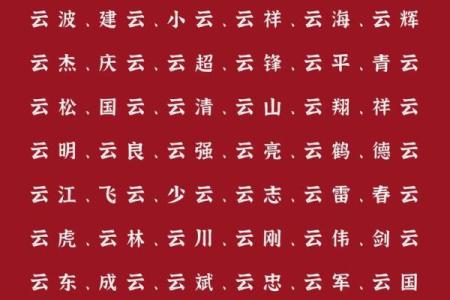 2019年6月29号卯时出生的男孩如何起名姓名