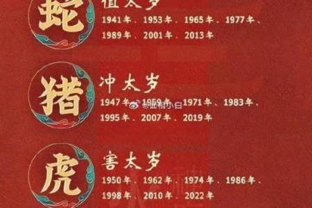属鼠和属虎的八字合不合得来,属虎的跟属鼠的合财吗