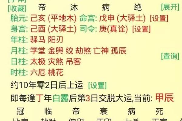 戊戌年紫薇斗数