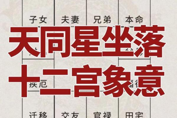 紫微斗数禄存星在财库 禄存在财帛宫是什么意思？