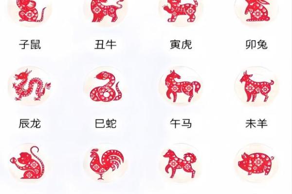 属猴未时出生的男孩应该如何取一个好名字姓名