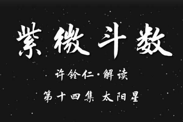 紫微斗数民国 紫薇斗数名家？
