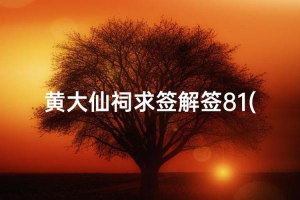 黄大仙48姻缘解签
