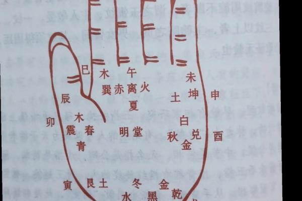 女手相算命图解