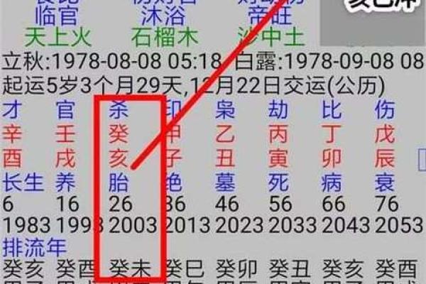 八字结构