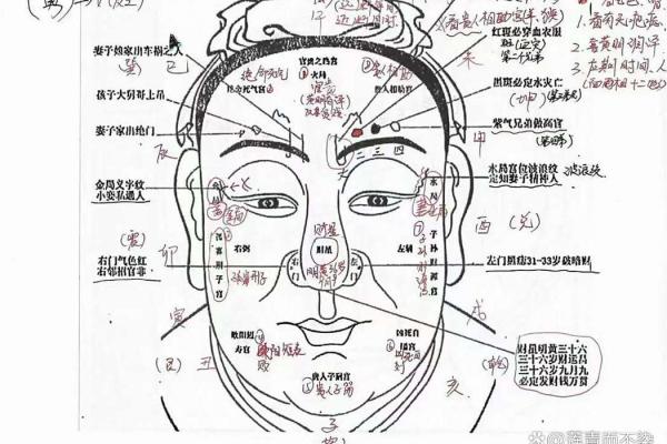 算命说后半世会怎样