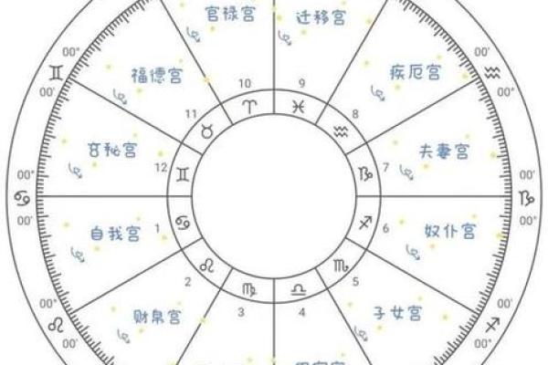 斗数杂谈】中州派十二宫定义 紫微斗数的星盘共分十二宫