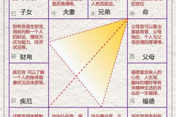斗数杂谈】中州派十二宫定义 紫微斗数的星盘共分十二宫