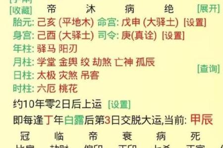 戊戌年紫薇斗数