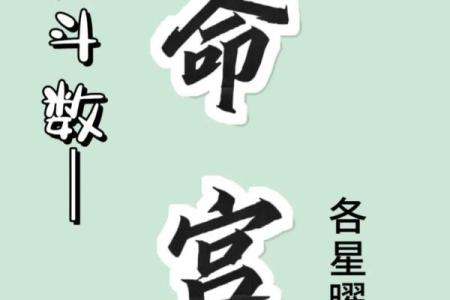 紫薇斗数紫薇在命