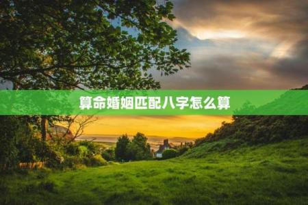 八字姻缘匹配