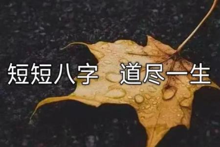 碰上孤独命八字 一生姻缘难求 注定孤独终老