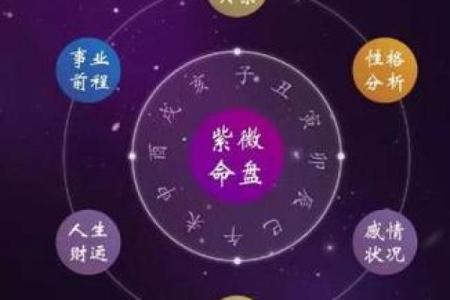 紫薇斗数真假