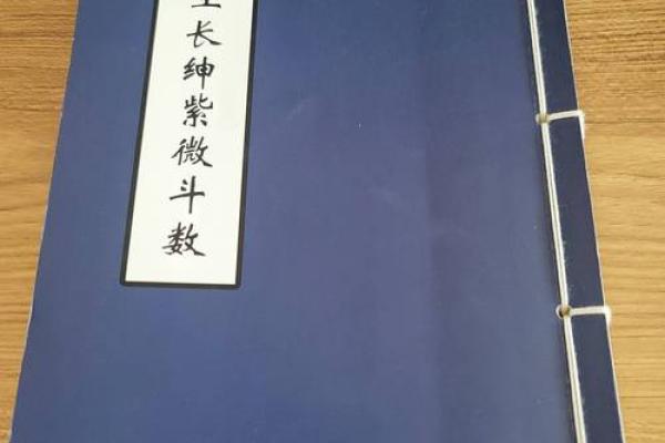 民间紫薇斗数高手