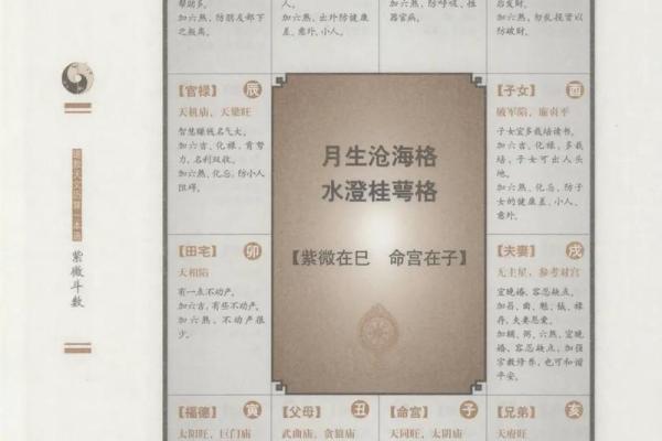 紫微斗数戊子桃花位 戊子日柱女命桃花？