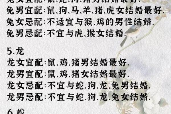 生肖与生辰八字结婚时间