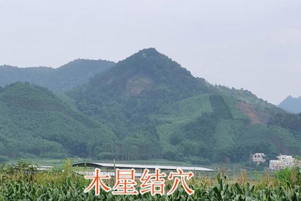 风水先生_摇鞭赶山法