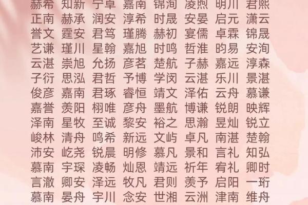 2019年6月24号卯时出生的男孩如何起名姓名
