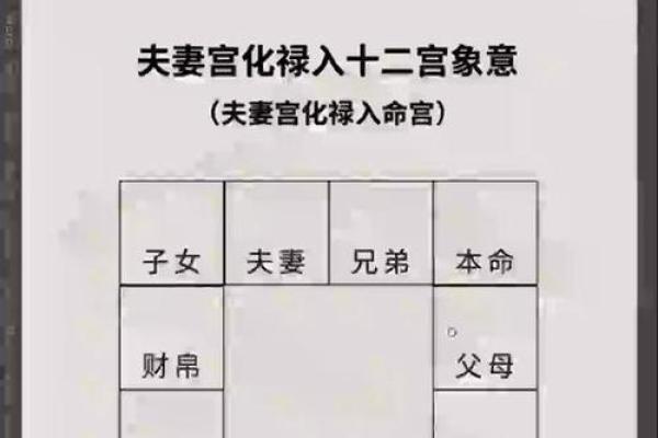 紫薇斗数夫妻天才