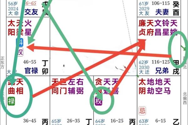 紫薇斗数与梅花易