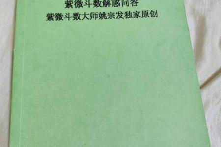 民间紫薇斗数高手