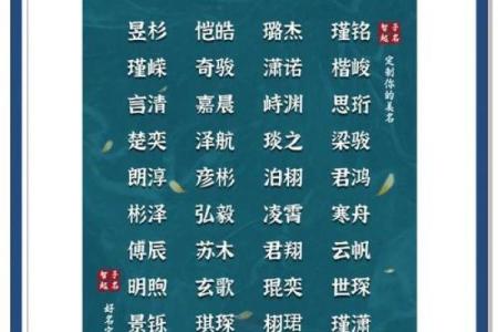 中午12点出生的属虎男孩如何起名，宜用什么字姓名