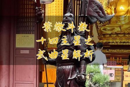 紫微斗数之交友宫与诸星，武曲星在交友宫是什么意思？