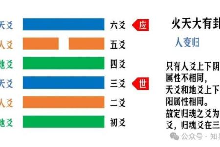 紫薇斗数和六爻有什么区别