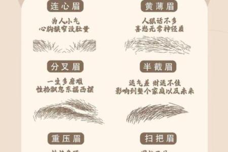 面相八字眉特征，什么是八字眉？