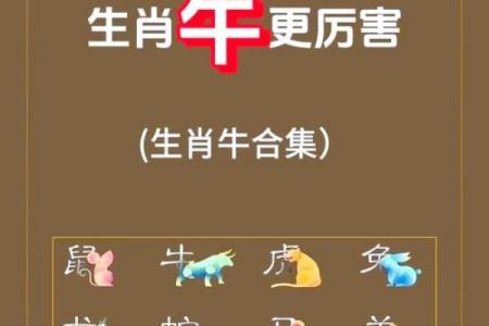 要如何给凌晨3点出生的属牛男孩取名字姓名