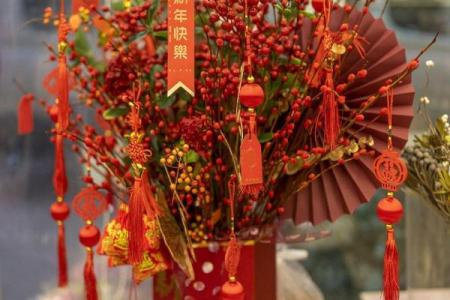 风水学用什么植物打扫房子
