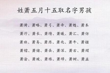 傍晚出生属兔的男孩应该怎么样取名字呢姓名