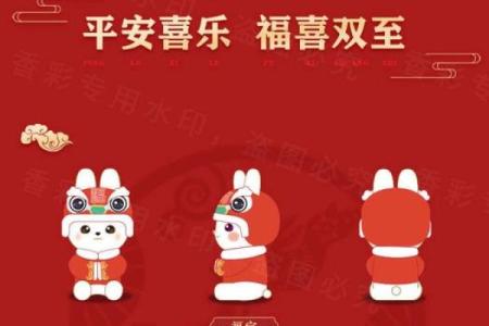 风水吉祥物_兔子吉祥物名字及寓意