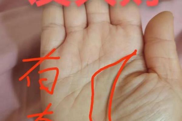 手相算命女人视频