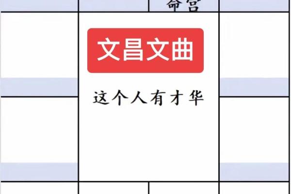 文曲紫薇斗数
