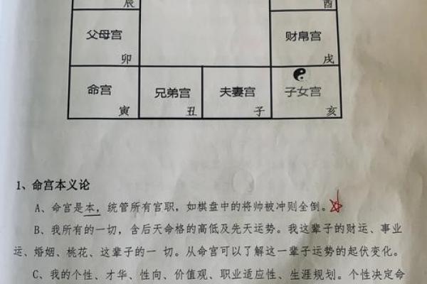 学紫薇斗数心得