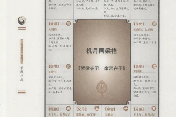 蔡明宏紫薇斗数