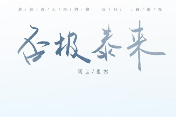否极泰来紫薇斗数
