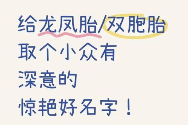 双胞胎取名字时你所不知的3方法和2个经典方法-姓名学-华易网姓名
