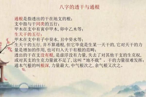生辰八字能不能随便给人 生辰八字可否随意派发