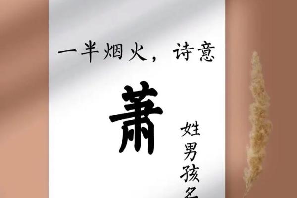 萧姓女孩名字大全-萧姓女孩起名字大全-萧姓名字大全姓名