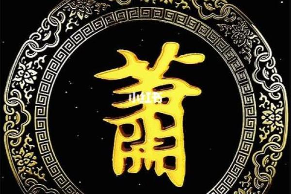 萧姓女孩名字大全-萧姓女孩起名字大全-萧姓名字大全姓名