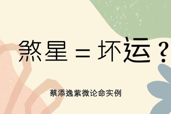 怡然紫薇斗数
