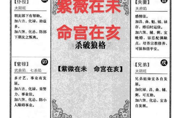 紫薇斗数盘下载